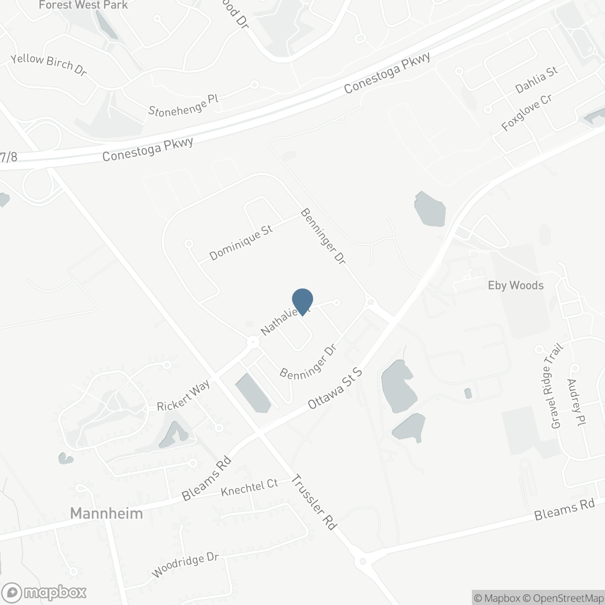 101 NATHALIE STREET, Kitchener, Ontario N2E 0C4
